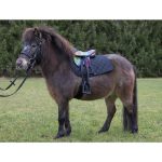 SELLA SHETTY "COLOUR" COMPLETA Selle Ponies 