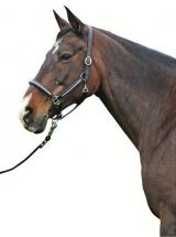 CAPEZZA IN CUOIO CON STRASS Capezze Cuoio 