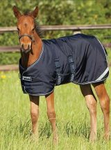 COPERTA AMIGO FOAL PADDOCK Paddock 