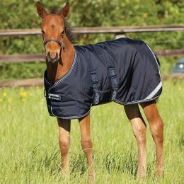 COPERTA AMIGO FOAL PADDOCK Paddock 