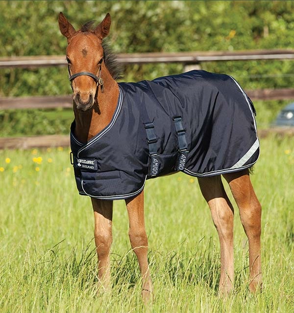 COPERTA AMIGO FOAL PADDOCK 200 gr Paddock Medium 