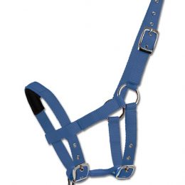 CAPEZZA MINI SHETTY Capezze Nylon 