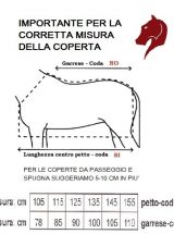 COPERTA AMIGO FOAL PADDOCK Paddock 