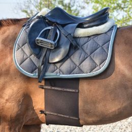 FASCIA DI RISPETTO BREVETTATA "DeLuxe" Accessori Speroni 