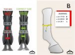 PARATENDINI CARBON GEL  VEREDUS TG. L BLACK* Paratendini 