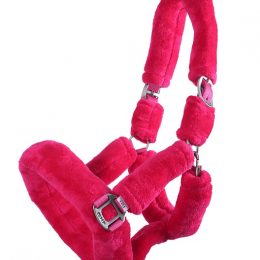 CAPEZZA CON AGNELLINO Capezze Nylon 
