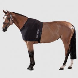 PETTORINA ANTIFIACCATURA EDINBURGH Accessori Coperte 