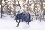 COPERTA PADDOCK WINTER  FODERATA 250 gr* 85cm Paddock Medium 