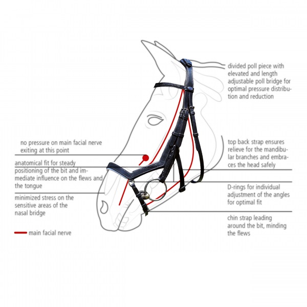 BRIGLIA "ANATOMIC LINE" FEELING* Anatomica 