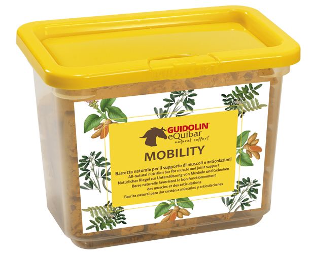 BISCOTTI MOBILITY 700 GR. Guidolin  