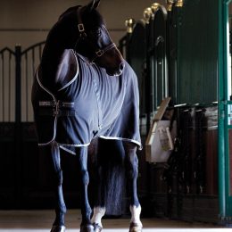 COPERTA ESTIVA RAMBO HORSEWARE 155 CM Estiva 