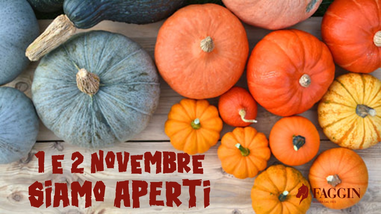 1 e 2 Novembre Aperto