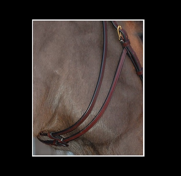 MONTANTE CORTO PER HACKMORE DY'ON Accessori Briglie 