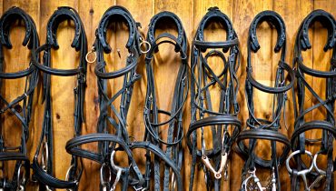 Guida alla pulizia e cura dei finimenti per cavalli – Parte 1