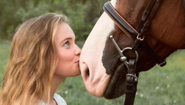 Guida alla pulizia e cura dei finimenti per cavalli – Parte 2