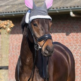 CUFFIA PASQUALE "BUNNY"  