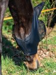 MASCHERA ANTIMOSCHE TWIN FIT FLEXI* Maschera da paddock 