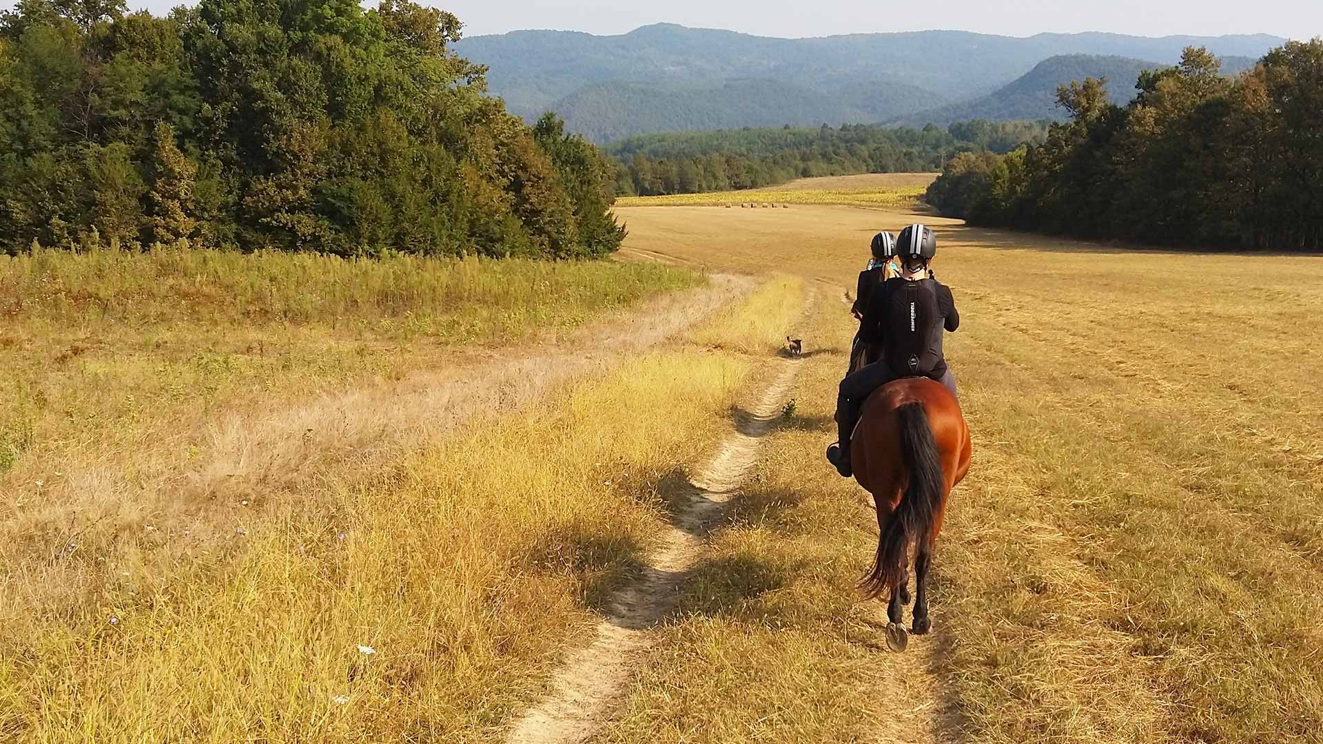 Passione Trekking – Il cavallo