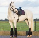 CAPEZZA ECOPELLE  + LUNGHINA ESKADRON PLATINUM III Capezze Nylon 