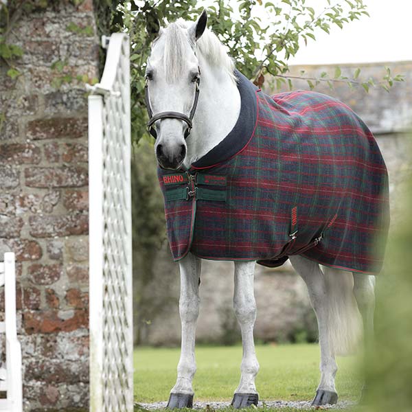 Come scegliere la coperta per il cavallo