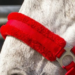 CAPEZZA NYLON CON AGNELLINO Capezze Nylon 