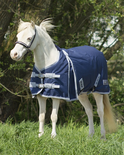 COPERTA  PADDOCK PONY-SHETTY 200 GR. Paddock Medium 