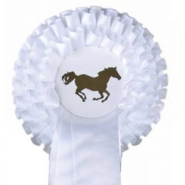 COCCARDA DA PREMIAZIONE Ø 13 cm Accessori Briglie 