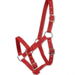 CAPEZZA FOAL Capezze Nylon 