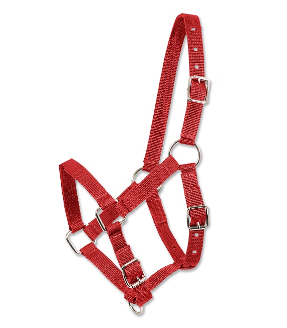 CAPEZZA FOAL* Capezze Nylon 