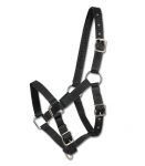 CAPEZZA FOAL* Capezze Nylon 