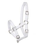 CAPEZZA FOAL* Capezze Nylon 