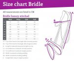 BRIGLIA ANATOMICA CON RICAMI Briglie 