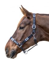 CAPEZZA CUOIO POLO GEMMA Capezze Cuoio 