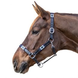 CAPEZZA CUOIO POLO GEMMA Capezze Cuoio 
