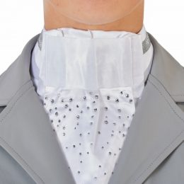 PLASTRON ELMIRA IN RASO Cravatte & Plastron 
