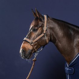 LUNGHINA DY'ON MOD. ASCOT Lunghine 
