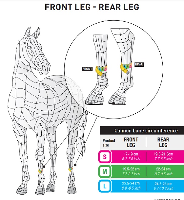 PARATENDINI OLYMPUS VENTO COLOR VEREDUS*M Paratendini 