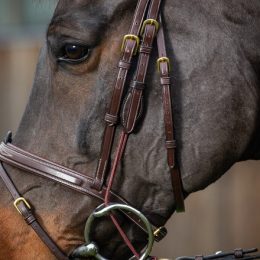 MONTANTI PER ELEVATORI CUOIO-CORDA DY'ON Accessori Imboccature 