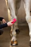 SPAZZOLA PER GROOMING INNOVATIVE Brusche & Spazzole 