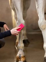 BRUSCA PER GROOMING INNOVATIVE Brusche & Spazzole 