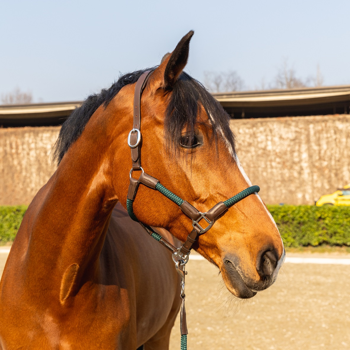 CAPEZZA "D'ISTINTO" CON LUNGHINA Capezze Cuoio 