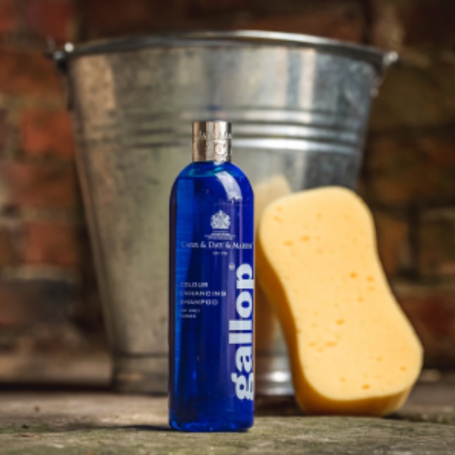 SHAMPOO GALLOP BLU PER CAVALLI GRIGI 500ml Shampoo e Districanti 