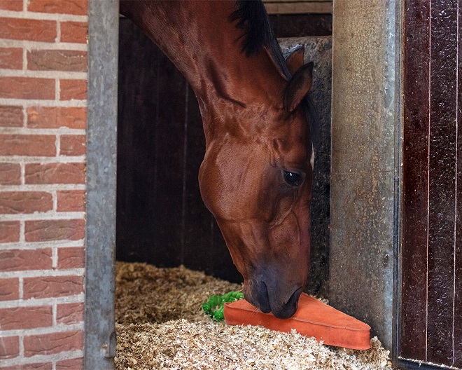 GIOCO PER CAVALLI CAROTA GIGANTE  