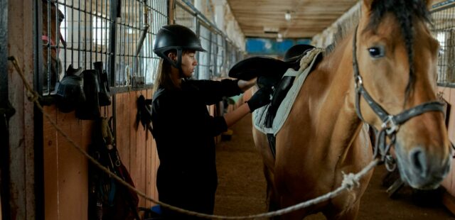 Mai paura se scende la temperatura – Consigli per il tuo cavallo