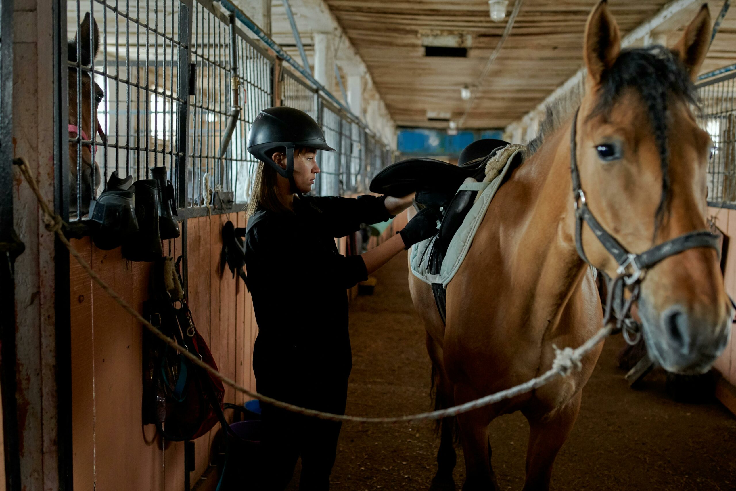 Mai paura se scende la temperatura – Consigli per il tuo cavallo