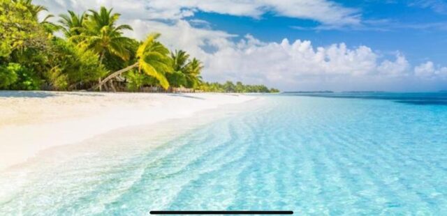 Ferie estive 2025