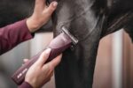TOSATRICE WAHL "SUPERA HORSE CLIPPERS"  