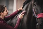 TOSATRICE WAHL "SUPERA HORSE CLIPPERS"  