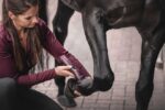 TOSATRICE WAHL "SUPERA HORSE CLIPPERS"  