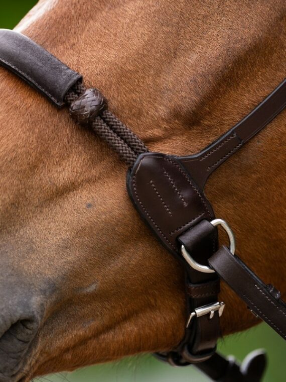 BRIGLIA BITLESS JUMP'IN Bitless 